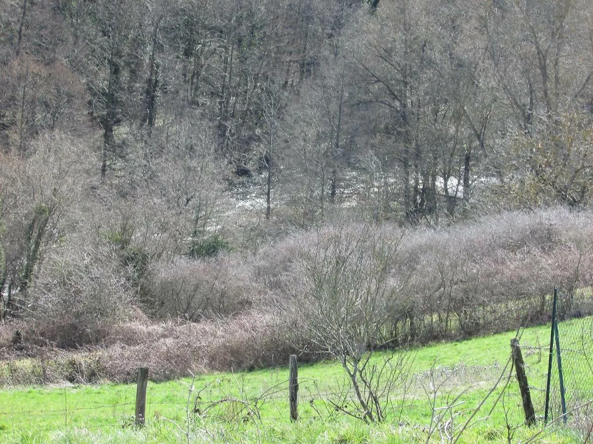 Bernadette Appartement Chouvigny